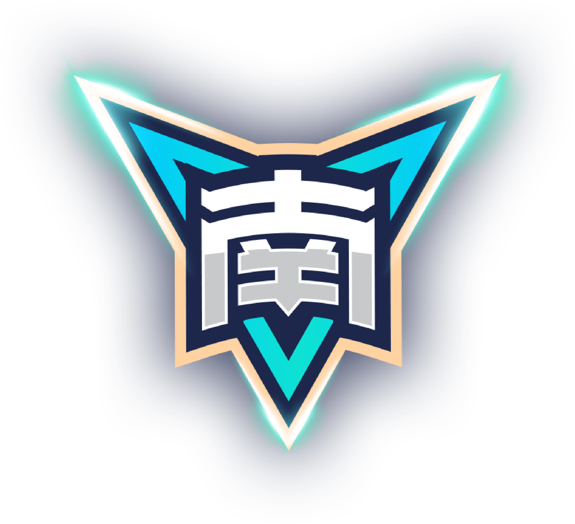 布鲁克林篮网